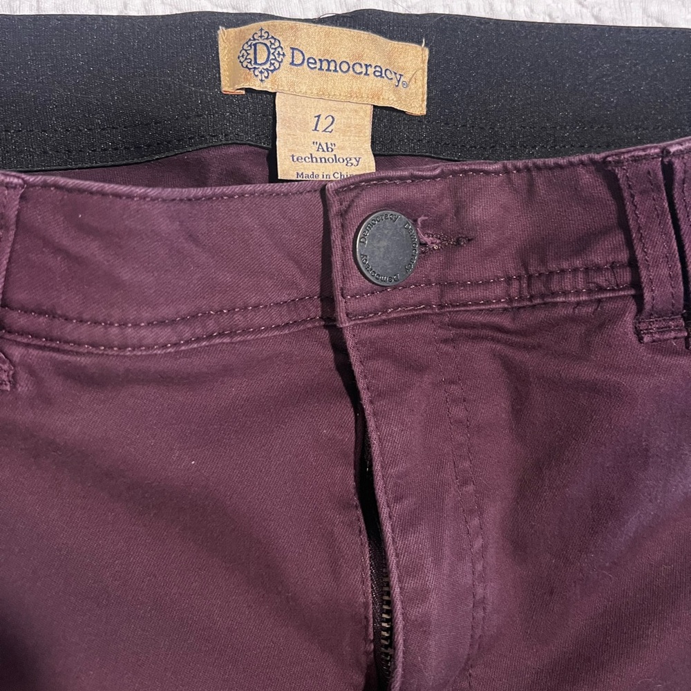 Democracy Skinny Pants in Plum